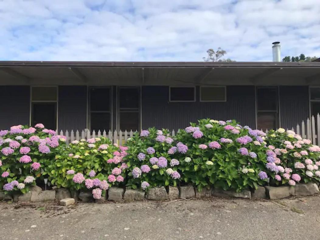 Nowa Nowa Motel - Budget Friendly Getaway In East Gippsland Bagian luar foto